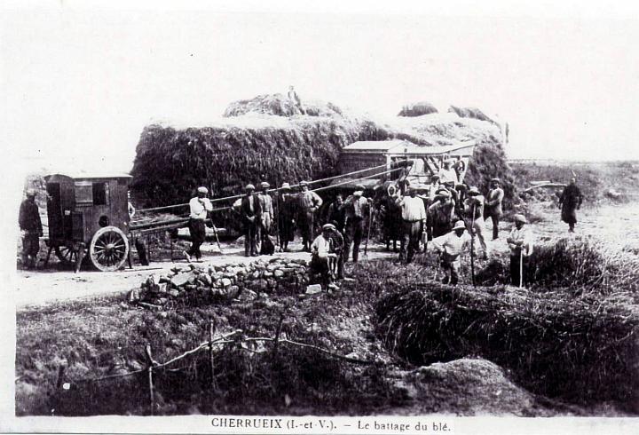cherrueix_agriculture_battage du ble.jpg